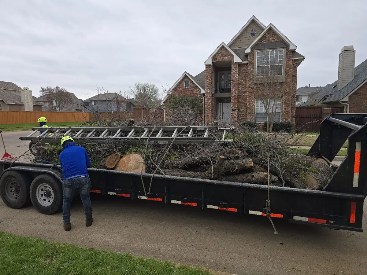 Expert Tree Fertilization with proper safety equipment in Hope